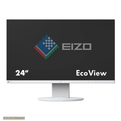 Монитор Б/У EIZO EV2450